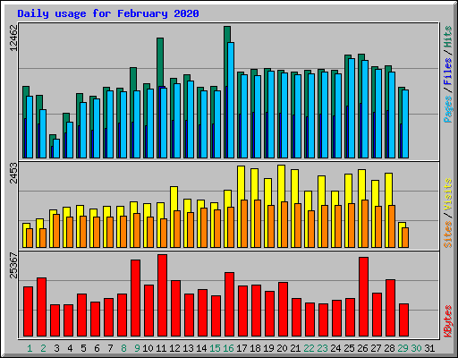 Daily usage for February 2020