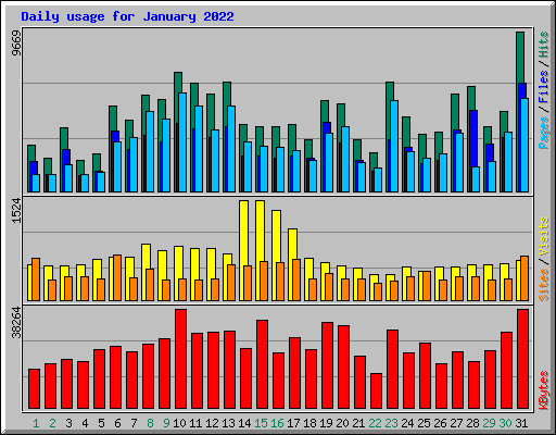 Daily usage for January 2022