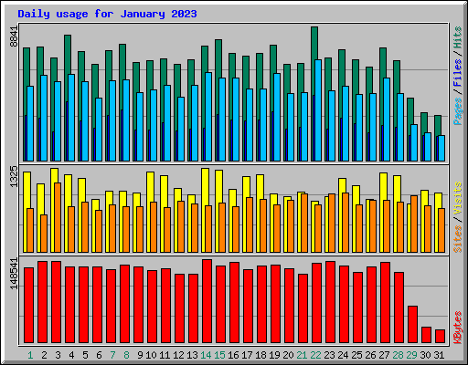 Daily usage for January 2023