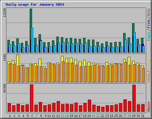 Daily usage for January 2024