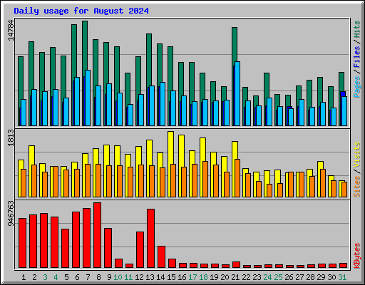 Daily usage for August 2024