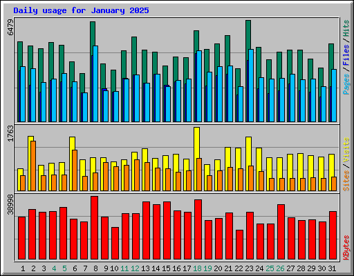 Daily usage for January 2025