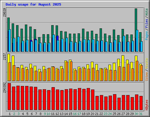 Daily usage for August 2025
