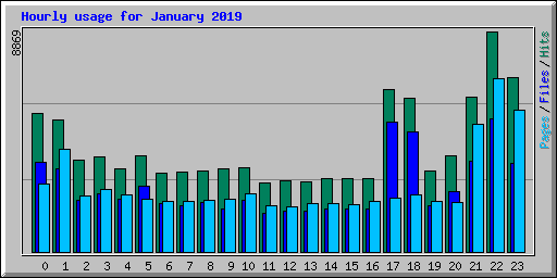 Hourly usage for January 2019