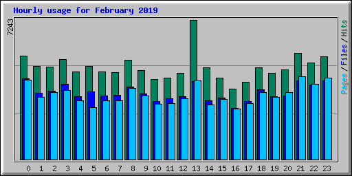 Hourly usage for February 2019