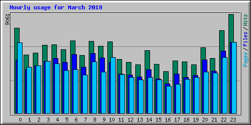 Hourly usage for March 2019