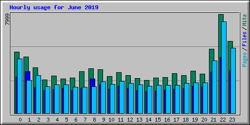 Hourly usage for June 2019