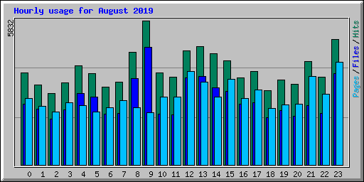 Hourly usage for August 2019