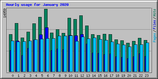 Hourly usage for January 2020