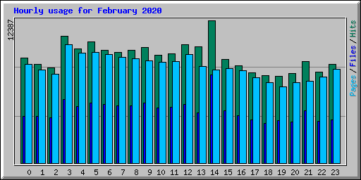 Hourly usage for February 2020