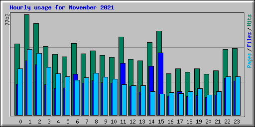 Hourly usage for November 2021