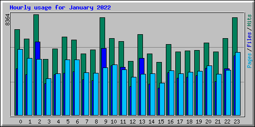 Hourly usage for January 2022