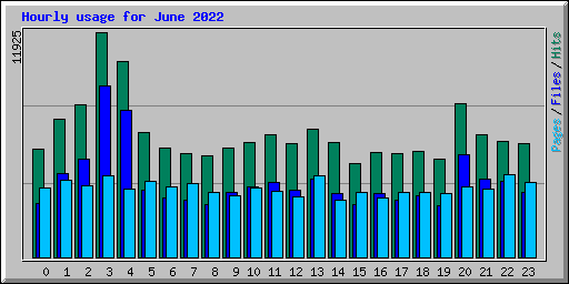 Hourly usage for June 2022