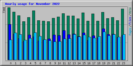 Hourly usage for November 2022