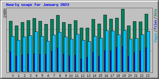 Hourly usage for January 2023