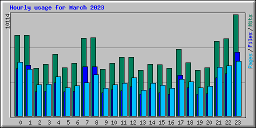 Hourly usage for March 2023