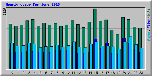 Hourly usage for June 2023