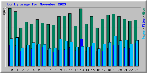 Hourly usage for November 2023