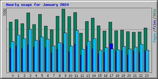 Hourly usage for January 2024