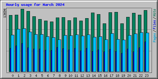 Hourly usage for March 2024