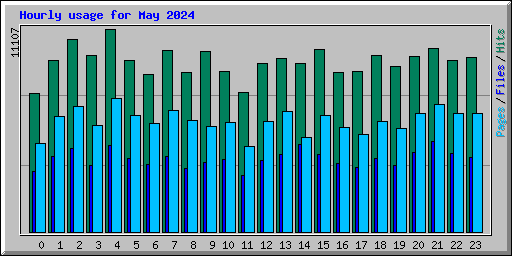 Hourly usage for May 2024