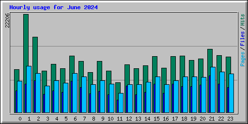 Hourly usage for June 2024