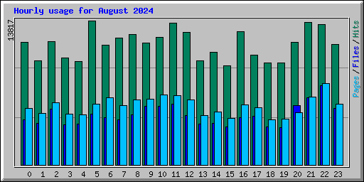 Hourly usage for August 2024