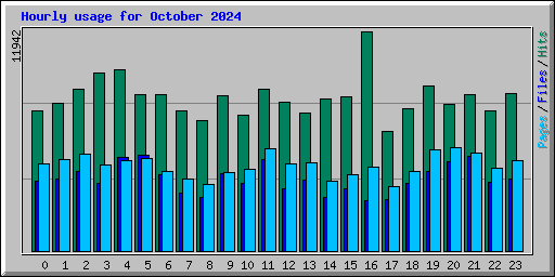 Hourly usage for October 2024