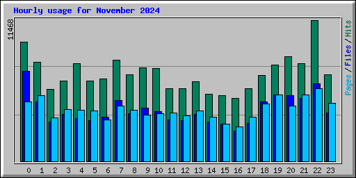 Hourly usage for November 2024