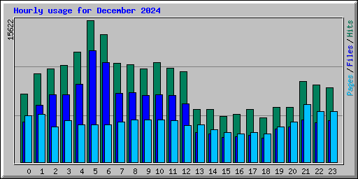 Hourly usage for December 2024