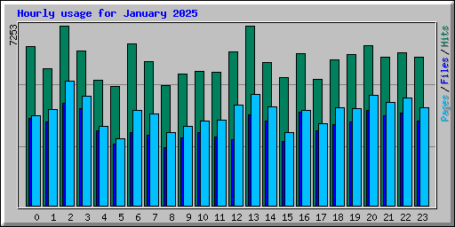 Hourly usage for January 2025