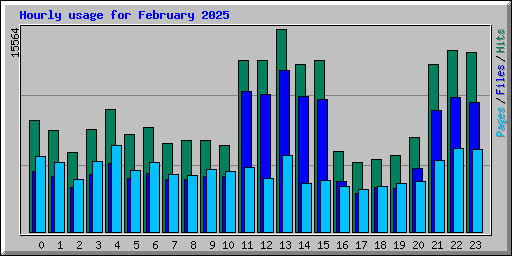 Hourly usage for February 2025