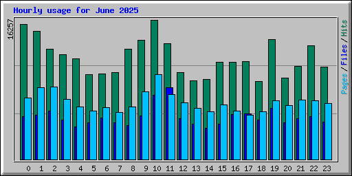 Hourly usage for June 2025