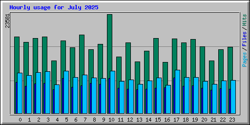 Hourly usage for July 2025