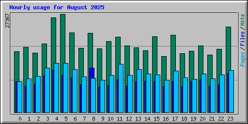 Hourly usage for August 2025