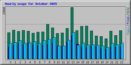 Hourly usage for October 2025