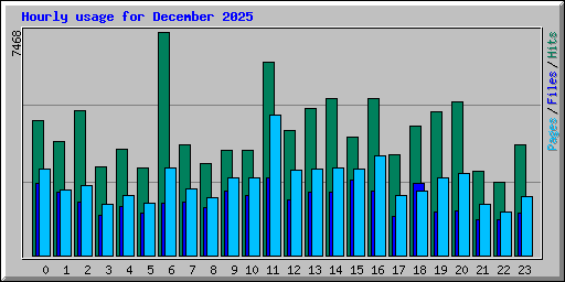 Hourly usage for December 2025